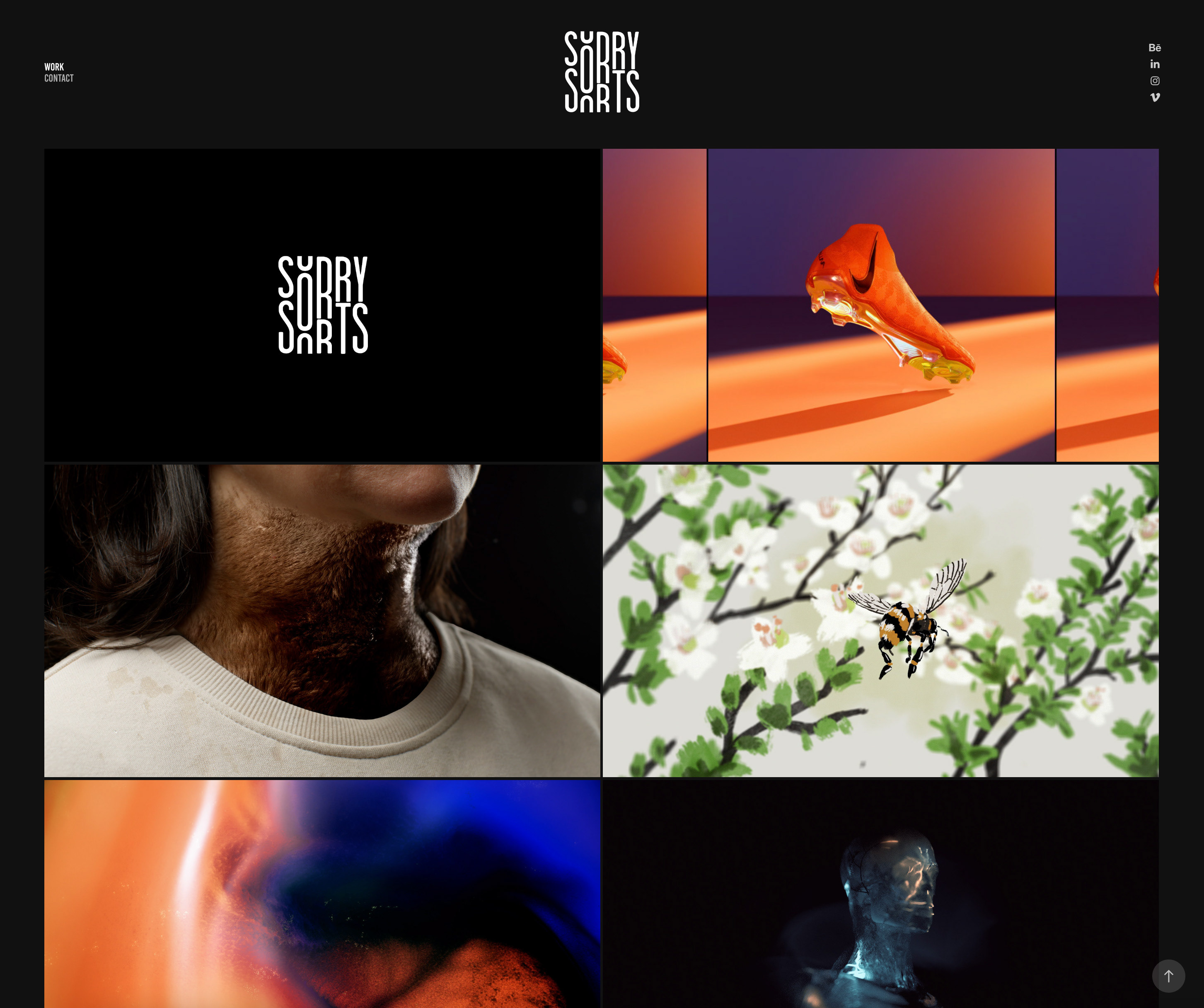 Sorry Sorts Motion